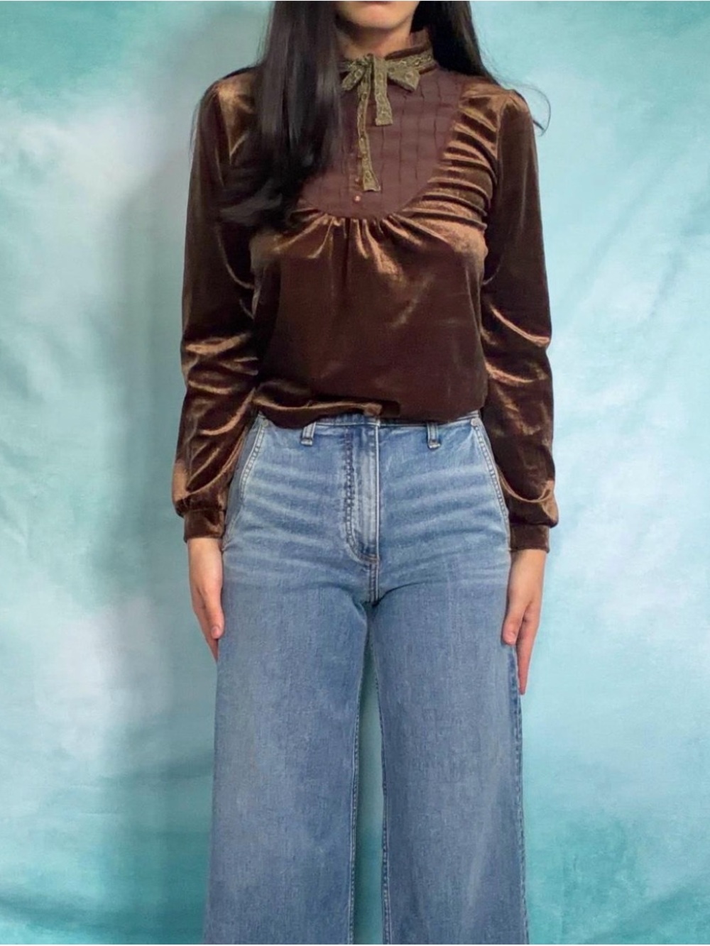 Vintage Brown Velvet Blouse